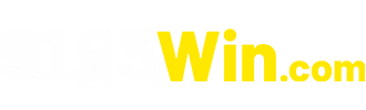 9193win